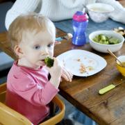 Repas chez l’assistante maternelle : le HCFEA propose une « incitation financière »