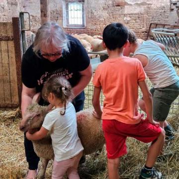 Les enfants, qui ont pu être victimes de maltraitances, découvrent la tendresse et la bientraitance au contact des animaux de l'exploitation agricole.